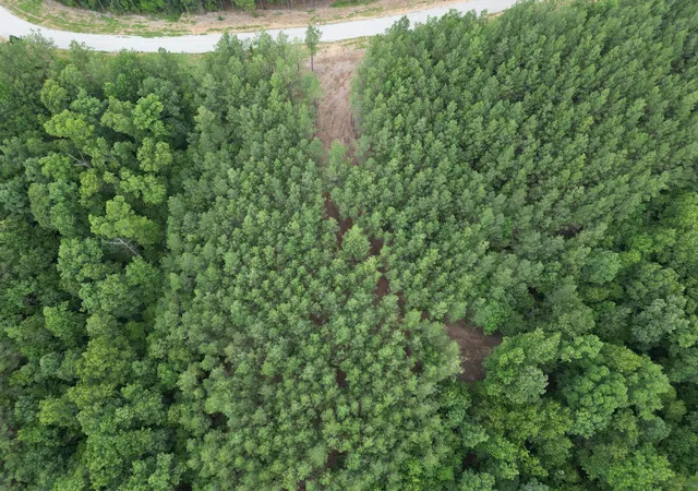 Photo 3 of Land for sale at 297 Ashwood Dr, Linden, TN 37096 | MLS# 3530710 | Listing updated on 2026-09-01
