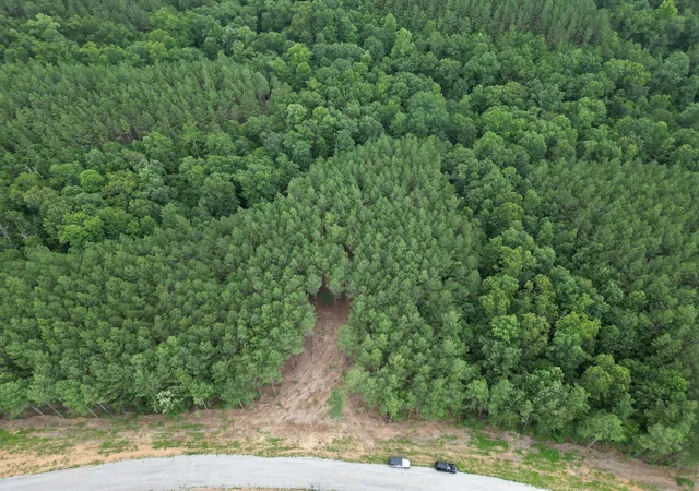Photo 4 of Land for sale at 297 Ashwood Dr, Linden, TN 37096 | MLS# 3530710 | Listing updated on 2026-09-01