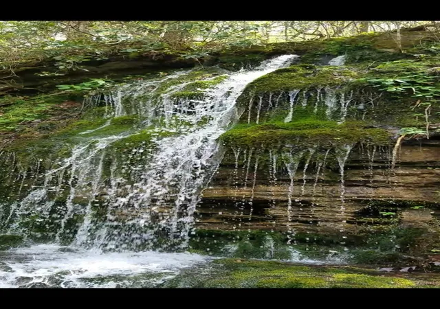 Photo 1 of Land for sale at 669 Glenn Springs Rd, Lawrenceburg, TN 38464 | MLS# 3531685 | Listing updated on 2026-09-03