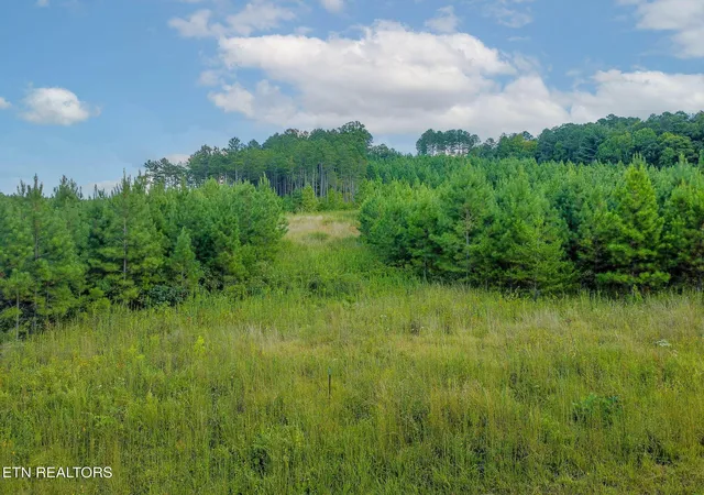 Photo 1 of Land for sale at 0 Lot #41 Three Point Rd, Madisonville, TN 37354 | MLS# 3530905 | Listing updated on 2026-09-04