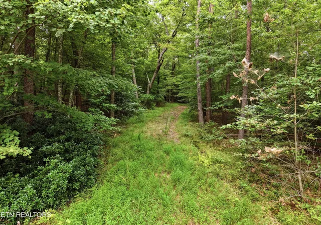 Photo 1 of Land for sale at 574 River Rd, Crossville, TN 38572 | MLS# 3530976 | Listing updated on 2026-09-02