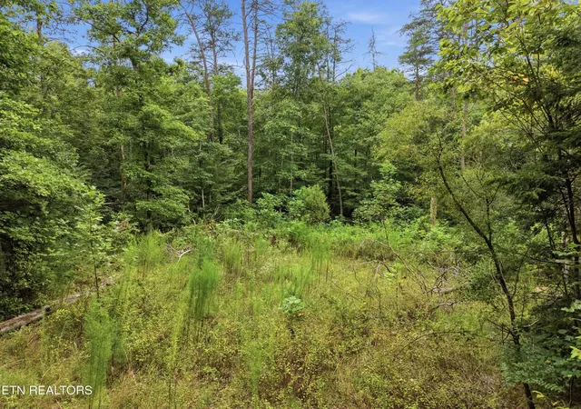 Photo 3 of Land for sale at 574 River Rd, Crossville, TN 38572 | MLS# 3530976 | Listing updated on 2026-09-02