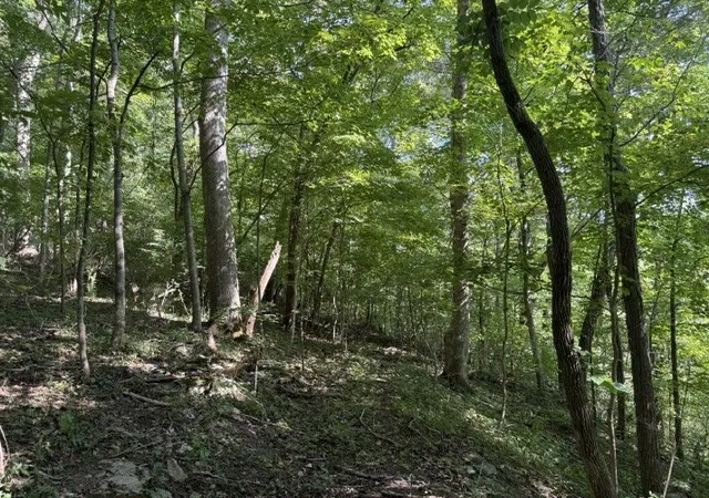 Photo 6 of Land for sale at 305 S Riverside Dr, Mc Minnville, TN 37110 | MLS# 3531009 | Listing updated on 2026-09-02