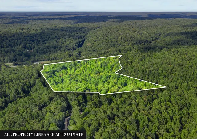 Photo 1 of Land for sale at 107 Possum Trot Ln, Clifton, TN 38425 | MLS# 3531057 | Listing updated on 2026-09-02