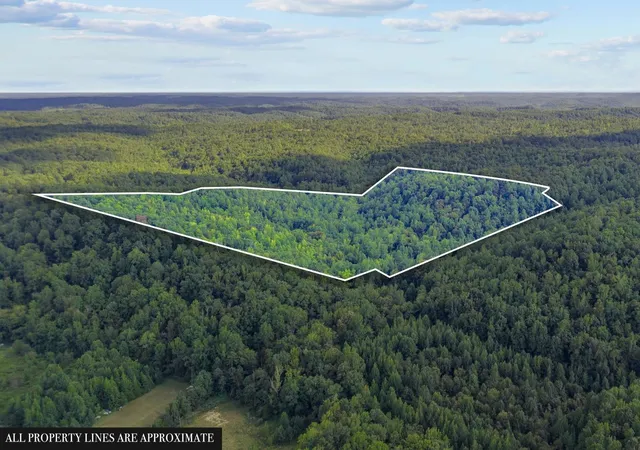 Photo 2 of Land for sale at 107 Possum Trot Ln, Clifton, TN 38425 | MLS# 3531057 | Listing updated on 2026-09-02