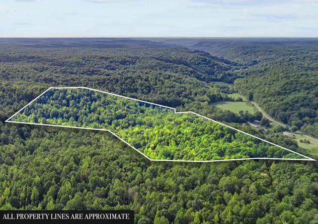 Photo 3 of Land for sale at 107 Possum Trot Ln, Clifton, TN 38425 | MLS# 3531057 | Listing updated on 2026-09-02