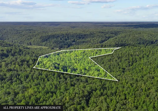 Photo 3 of Land for sale at 107 Possum Trot Ln, Clifton, TN 38425 | MLS# 3531057 | Listing updated on 2026-09-02