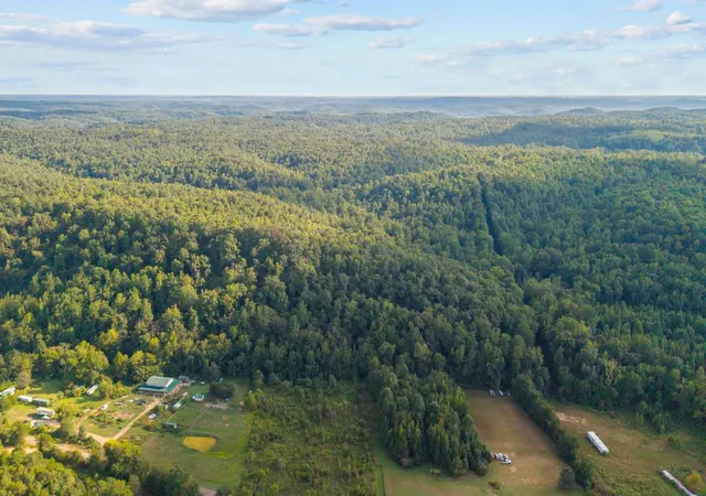 Photo 4 of Land for sale at 107 Possum Trot Ln, Clifton, TN 38425 | MLS# 3531057 | Listing updated on 2026-09-02