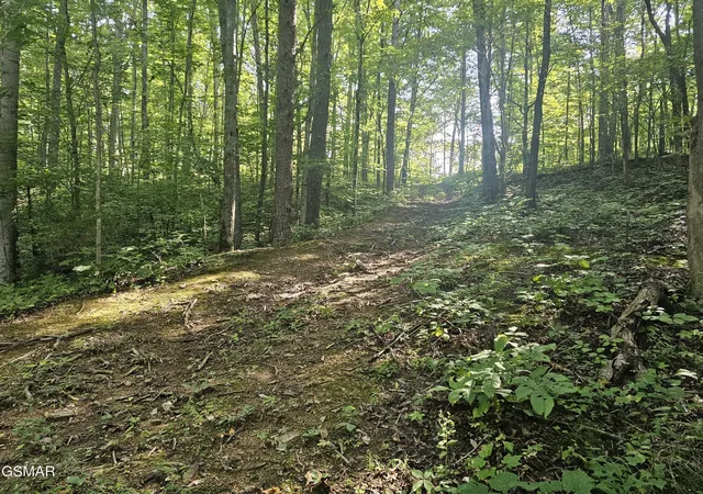 Photo 1 of Sale Pending at 2 Franklin Ln, Sevierville, TN 37876 | MLS# 3531036 | Listing updated on 2026-10-05