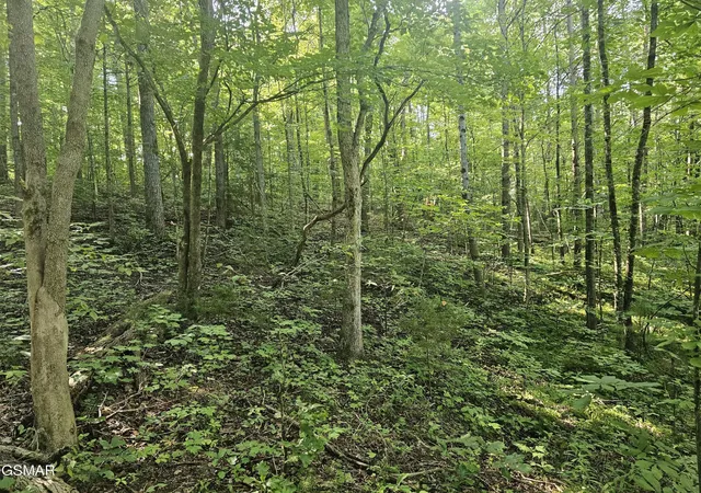 Photo 3 of Sale Pending at 2 Franklin Ln, Sevierville, TN 37876 | MLS# 3531036 | Listing updated on 2026-10-05