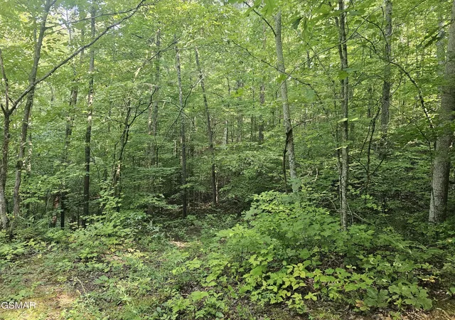 Photo 4 of Sale Pending at 2 Franklin Ln, Sevierville, TN 37876 | MLS# 3531036 | Listing updated on 2026-10-05