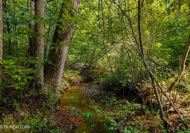 Land for sale at 407 Chetola Tr, Townsend, TN 37882 | MLS# 3531046