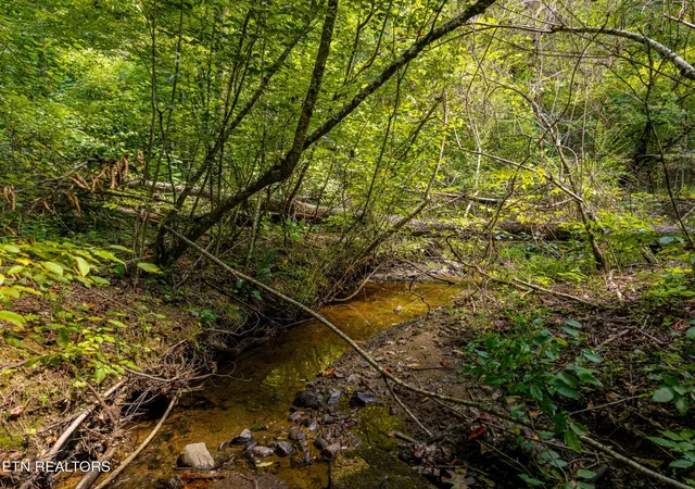 Photo 2 of Land for sale at 407 Chetola Tr, Townsend, TN 37882 | MLS# 3531046 | Listing updated on 2026-09-04