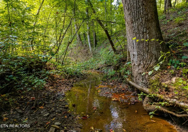 Photo 3 of Land for sale at 407 Chetola Tr, Townsend, TN 37882 | MLS# 3531046 | Listing updated on 2026-09-04