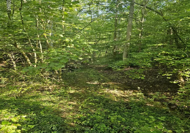 Photo 4 of Land for sale at 3 Franklin Way, Sevierville, TN 37876 | MLS# 3531086 | Listing updated on 2026-09-02