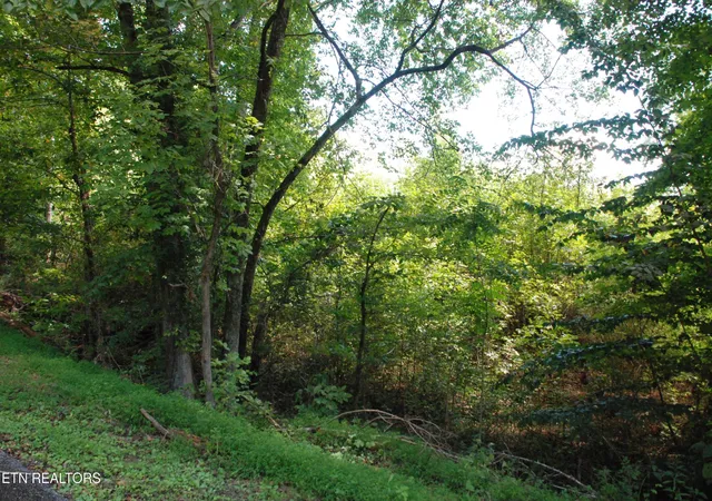 Land for sale at 2222320 Vann Dr, Harriman, TN 37748 | MLS# 3597074