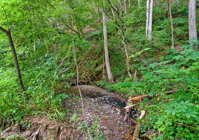Photo 4 of Single family home for sale at 3211 Old Mountain Rd, Sevierville, TN 37876 | MLS# 3531354 | Listing updated on 2026-09-08