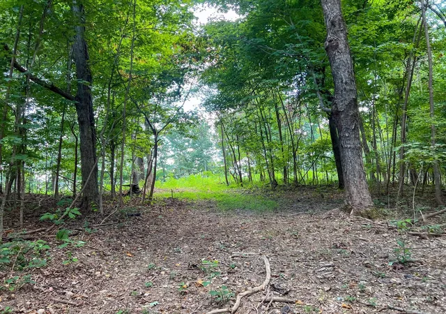 Land for sale at 7659 Burks Rd, Christiana, TN 37037 | MLS# 3531397