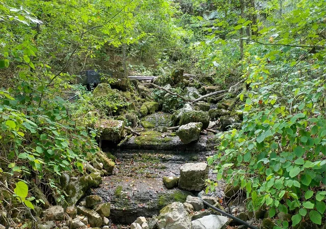 Photo 1 of Land for sale at 7659 Burks Rd, Christiana, TN 37037 | MLS# 3531397 | Listing updated on 2026-09-04
