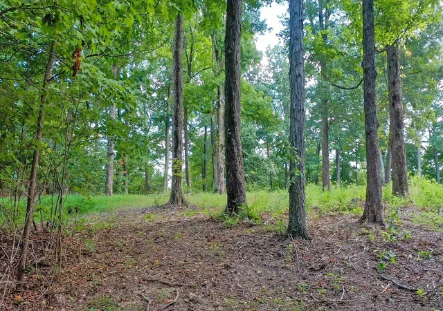 Photo 2 of Land for sale at 7659 Burks Rd, Christiana, TN 37037 | MLS# 3531397 | Listing updated on 2026-09-04