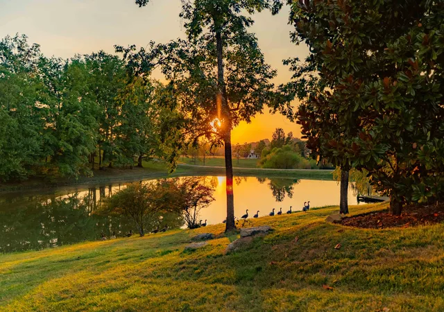 Land for sale at 8201 Jolene Dr, College Grove, TN 37046 | MLS# 3543191