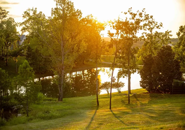 Photo 3 of Land for sale at 8201 Jolene Dr, College Grove, TN 37046 | MLS# 3543191 | Listing updated on 2026-09-23