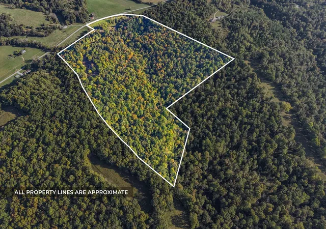 Photo 4 of Land for sale at 1740 Little Bartons Crk Rd, Cumberland Furnace, TN 37051 | MLS# 3601269 | Listing updated on 2026-09-25