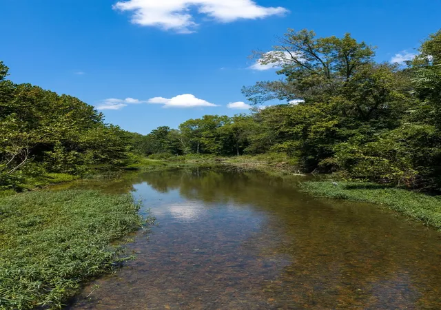 Photo 1 of Land for sale at 0 S Bear Crk, Erin, TN 37061 | MLS# 3543202 | Listing updated on 2026-09-08