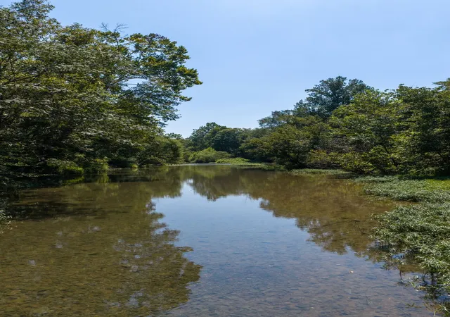 Photo 14 of Land for sale at 0 S Bear Crk, Erin, TN 37061 | MLS# 3543202 | Listing updated on 2026-09-08