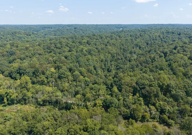 Photo 4 of Land for sale at 0 S Bear Crk, Erin, TN 37061 | MLS# 3543202 | Listing updated on 2026-09-08