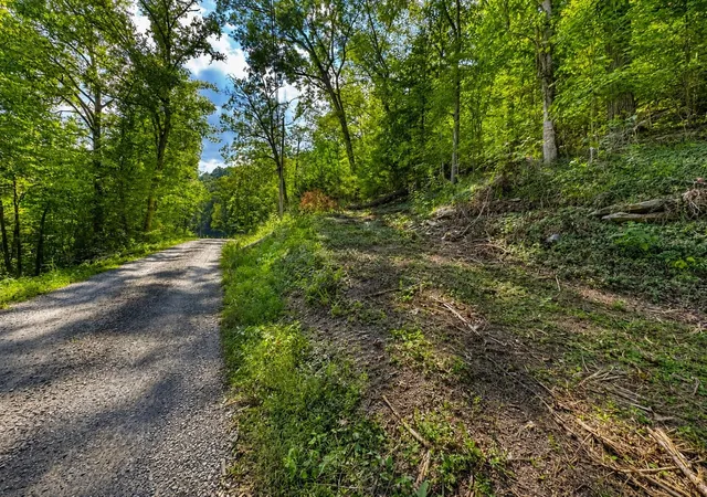 Land for sale at 0 Halls Holw Rd, Smithville, TN 37166 | MLS# 3542883