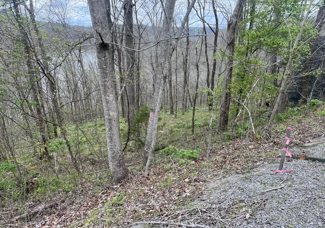 Photo 1 of Land for sale at 132 Lakeview Dr Lot, Smithville, TN 37166 | MLS# 3531619 | Listing updated on 2026-09-04