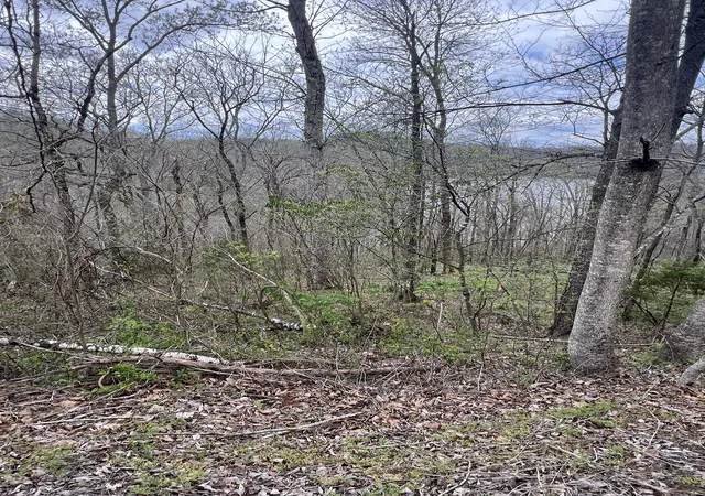 Photo 2 of Land for sale at 132 Lakeview Dr Lot, Smithville, TN 37166 | MLS# 3531619 | Listing updated on 2026-09-04