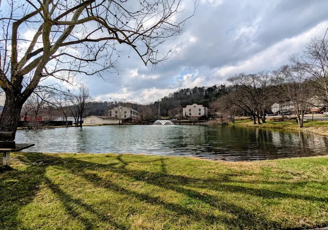 Listing Photo 2 - Condo for sale in building located at 900 Mountain Creek Rd, Chattanooga, TN 37405 - Unit #