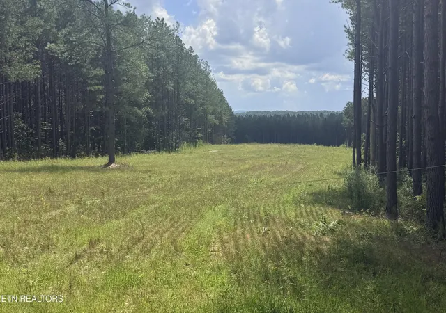 Photo 1 of Land for sale at 145 Black Bear Ln, Sunbright, TN 37872 | MLS# 3531828 | Listing updated on 2026-09-03