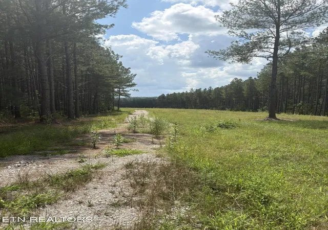Photo 4 of Land for sale at 145 Black Bear Ln, Sunbright, TN 37872 | MLS# 3531828 | Listing updated on 2026-09-03