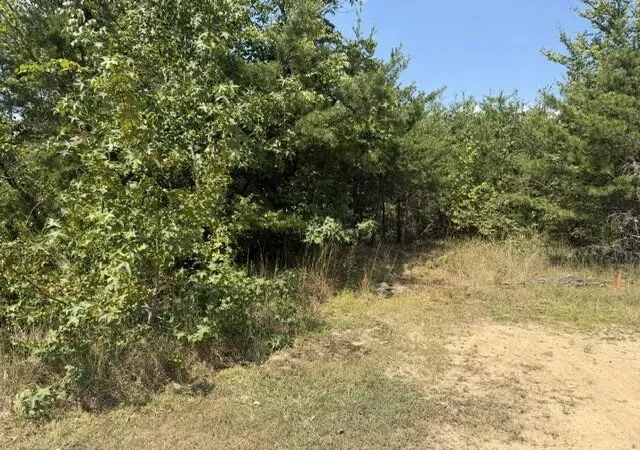 Photo 2 of Land for sale at 152 County Rd 971, Flat Rock, AL 35966 | MLS# 3531835 | Listing updated on 2026-09-20