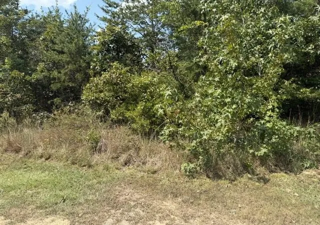 Photo 3 of Land for sale at 152 County Rd 971, Flat Rock, AL 35966 | MLS# 3531835 | Listing updated on 2026-09-20