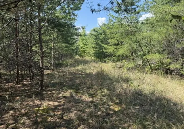 Photo 4 of Land for sale at 152 County Rd 971, Flat Rock, AL 35966 | MLS# 3531835 | Listing updated on 2026-09-20