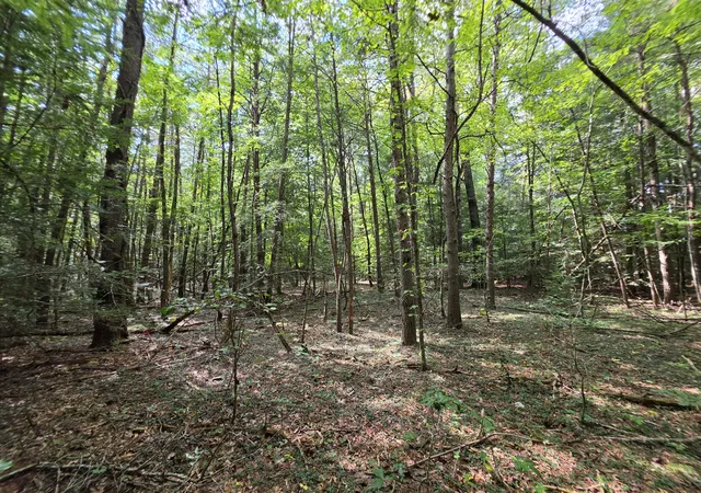 Land for sale at 0 Northcutts Cvs Rd, Beersheba Springs, TN 37305 | MLS# 3533624