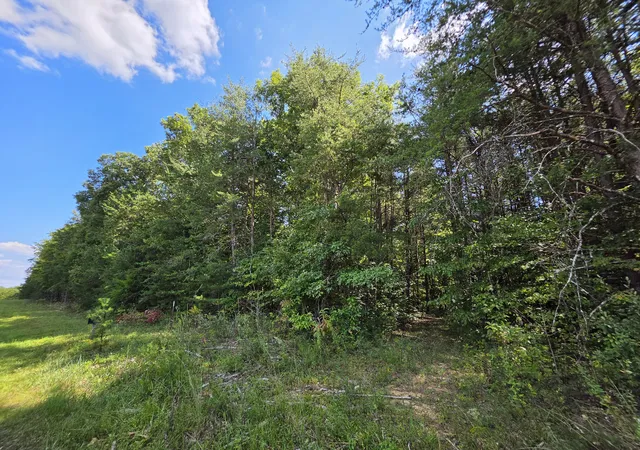 Photo 27 of Land for sale at 0 Northcutts Cvs Rd, Beersheba Springs, TN 37305 | MLS# 3533624 | Listing updated on 2026-09-03