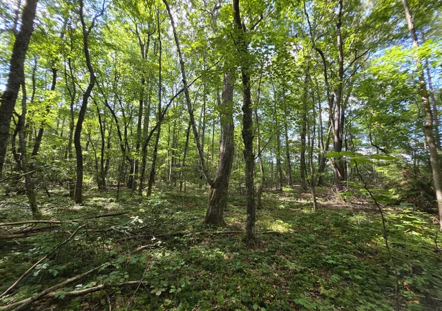 Photo 2 of Land for sale at 0 Northcutts Cvs Rd, Beersheba Springs, TN 37305 | MLS# 3533624 | Listing updated on 2026-09-03