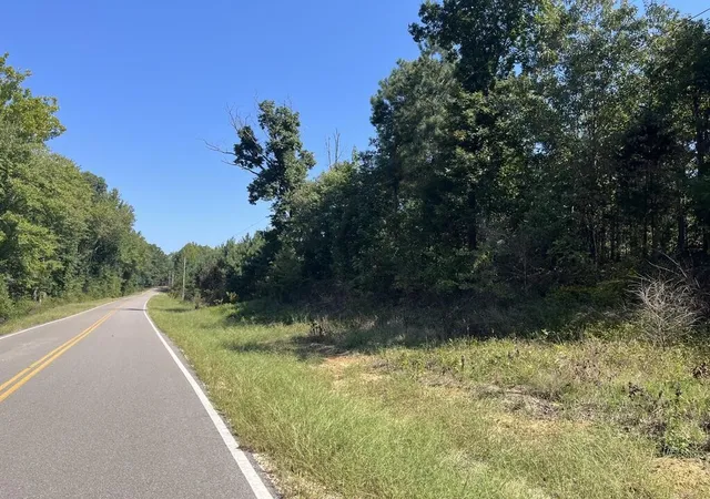 Photo 2 of Land for sale at 0 Guthrie Rd, Paris, TN 38242 | MLS# 3532781 | Listing updated on 2026-09-03