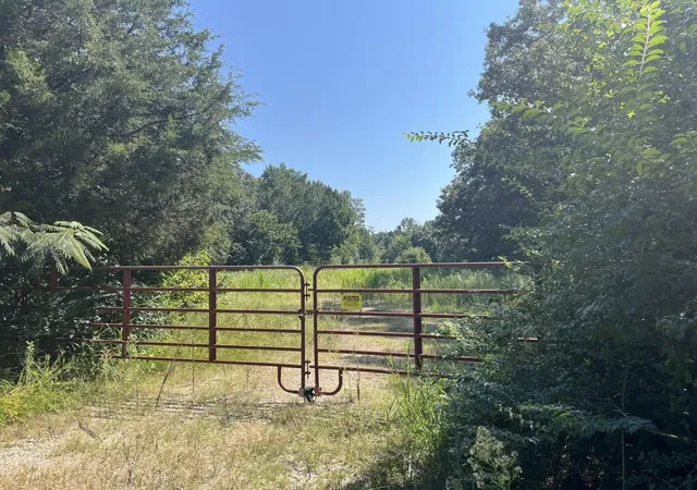 Photo 3 of Land for sale at 0 Guthrie Rd, Paris, TN 38242 | MLS# 3532781 | Listing updated on 2026-09-03