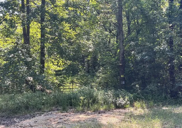 Photo 3 of House for sale at 0 Guthrie Rd, Paris, TN 38242 | MLS# 3532781 | Listing updated on 2026-09-03