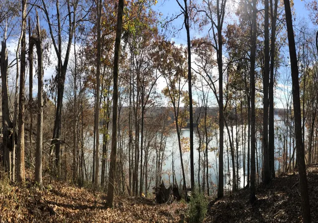 Photo 2 of Land for sale at 0 River Blf Ln, Bath Springs, TN 38311 | MLS# 3539825 | Listing updated on 2026-09-03