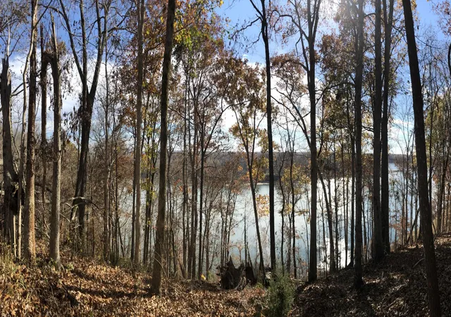Photo 3 of Land for sale at 0 River Blf Ln, Bath Springs, TN 38311 | MLS# 3539825 | Listing updated on 2026-09-03