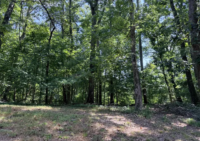 Photo 3 of Land for sale at 0 River Blf Ln, Bath Springs, TN 38311 | MLS# 3539825 | Listing updated on 2026-09-03