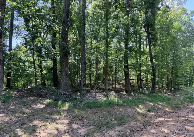 Photo 4 of Land for sale at 0 River Blf Ln, Bath Springs, TN 38311 | MLS# 3539825 | Listing updated on 2026-09-03