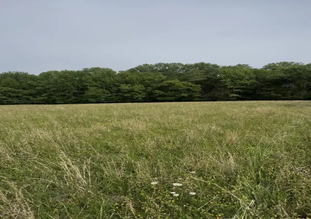 Photo 1 of Land for sale at 0 Riverview Rd, Mount Juliet, TN 37122 | MLS# 3539875 | Listing updated on 2026-09-03